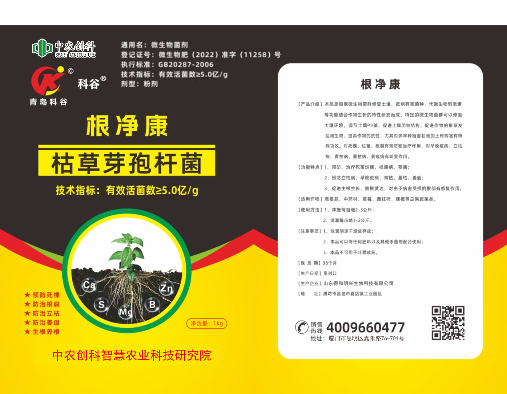 根净康